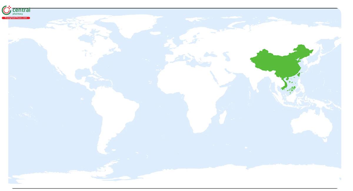 Đặc điểm phân bố