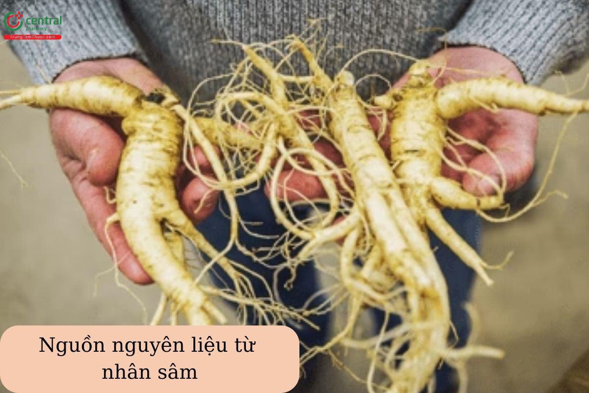 Baumann Wisconsin Ginseng với nguồn nguyên liệu nhân sâm