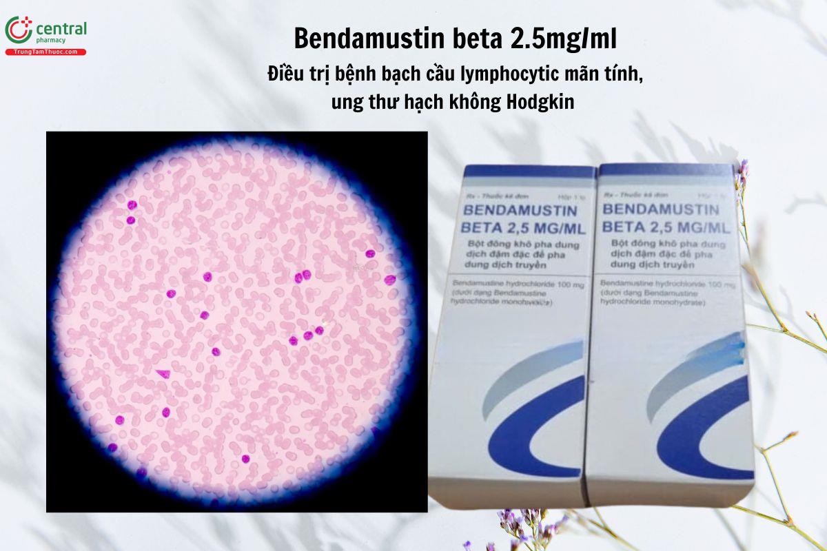 Thuốc Bendamustin Beta 2.5mg/ml Oncomed điều trị bệnh bạch cầu lympho