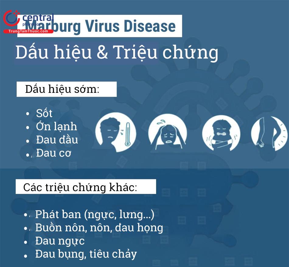 Dấu hiệu và triệu chứng của nhiễm virus Marburg