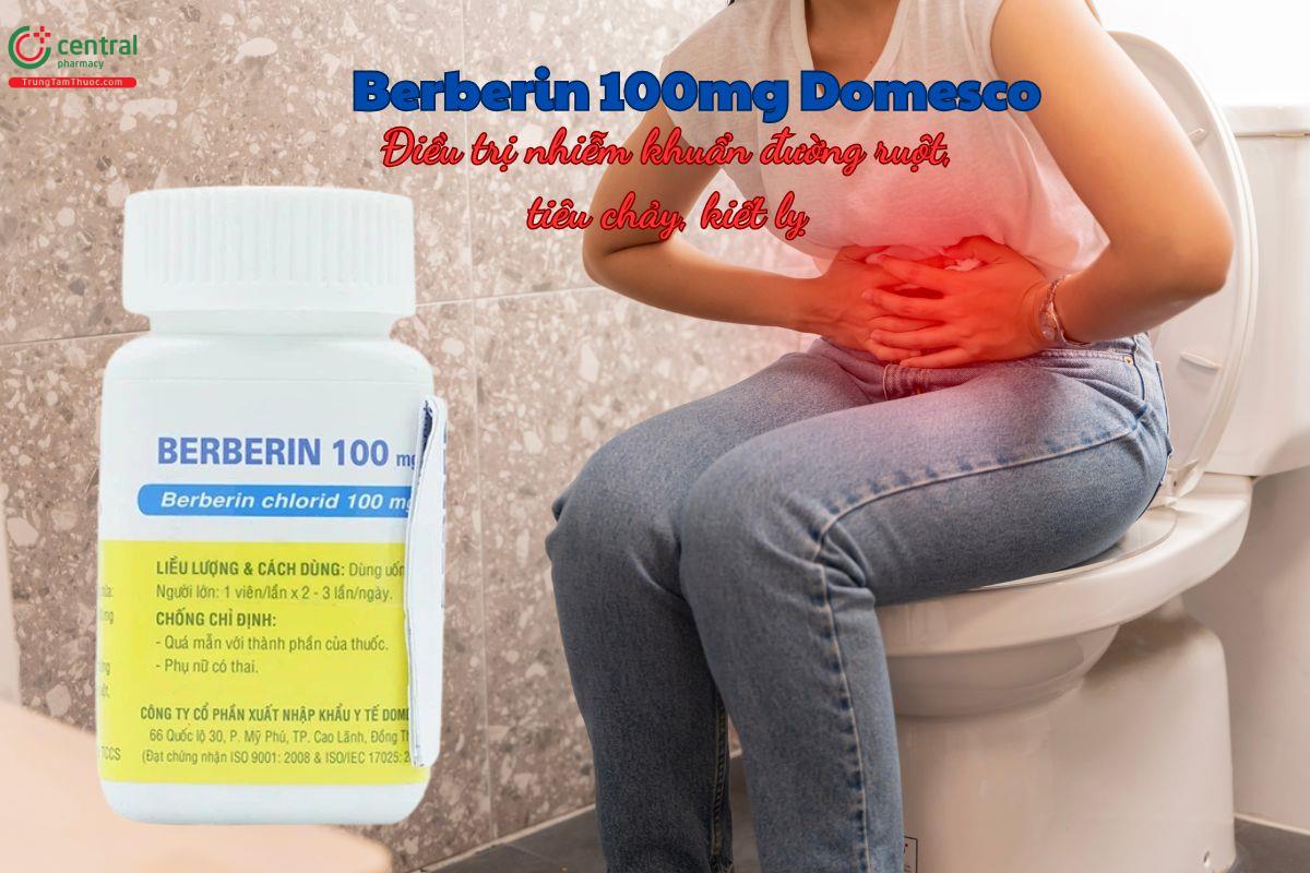 Thuốc Berberin 100mg Domesco điều trị nhiễm khuẩn đường ruột