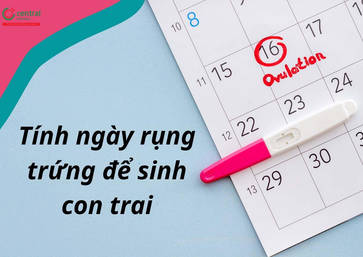 Để sinh con trai nên quan hệ trước hay sau ngày rụng trứng?