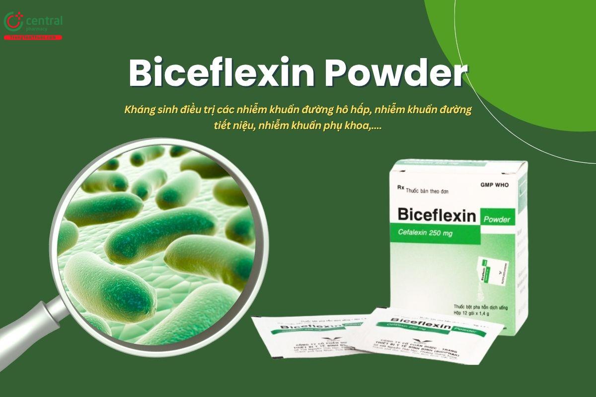 Thuốc Biceflexin Powder 250mg là thuốc gì? Có tác dụng gì?