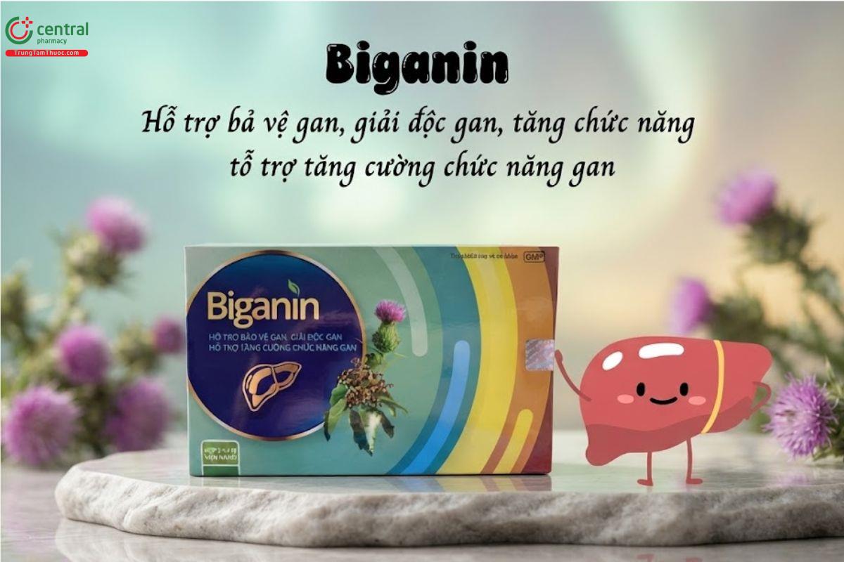 Biganin giúp bảo vệ gan, tăng cường chức năng gan, giải độc gan