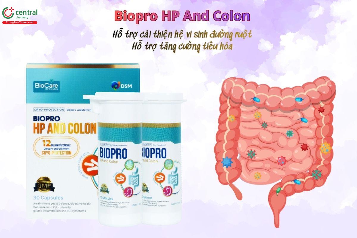 Biopro HP And Colon hỗ trợ cân bằng hệ vi sinh đường ruột