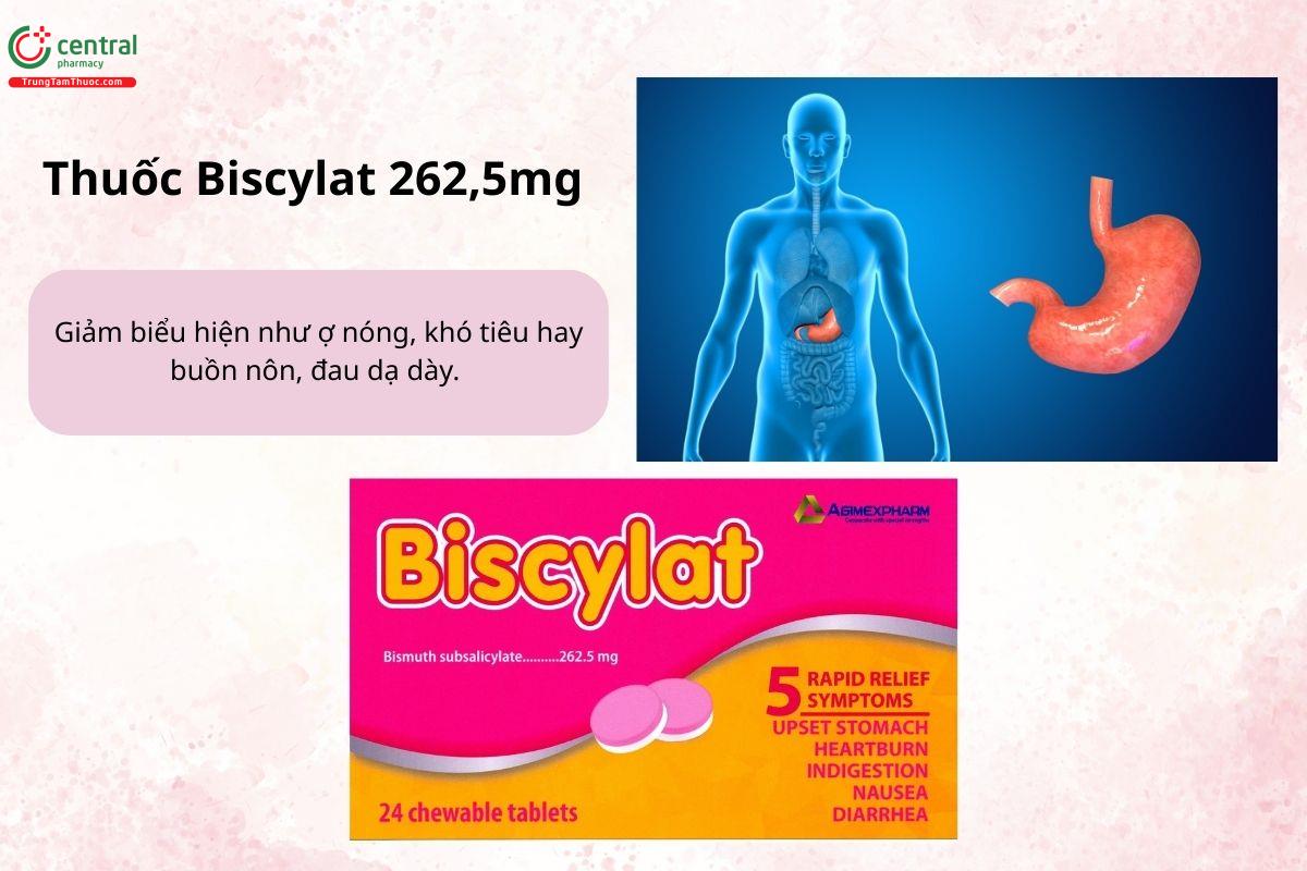 Chỉ định của thuốc Biscylat 262,5mg