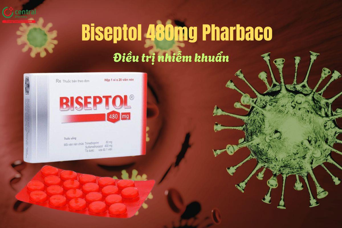 Thuốc Biseptol 480mg Pharbaco đặc trị kiết lị, tiêu chảy do E. Coli