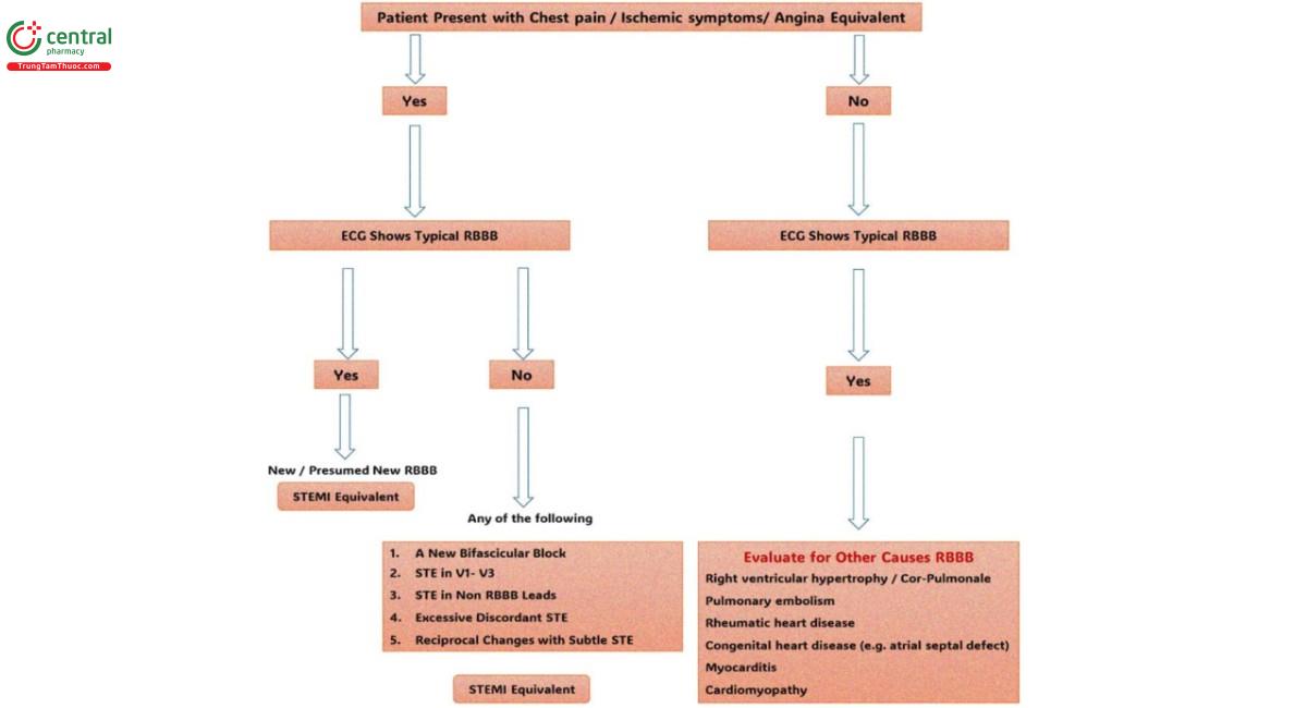 Hình 9. Lưu đồ tiếp cận RBBB tại phònng cấp cứu