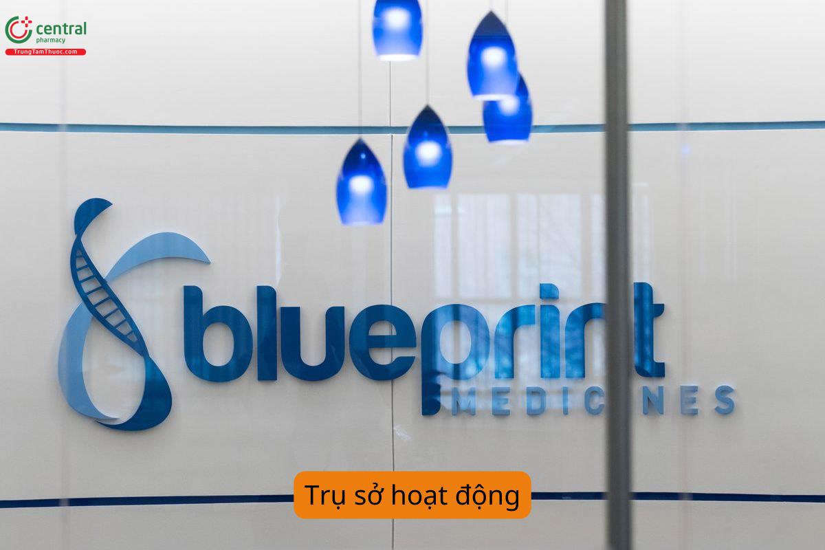 Trụ sở hoạt động