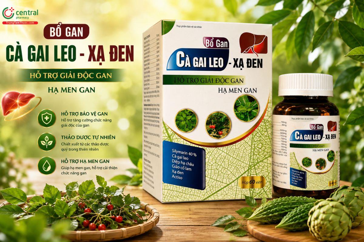 Bổ Gan Cà Gai Leo - Xạ Đen giúp hạ men gan, giải độc gan, bảo vệ gan