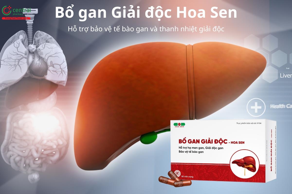 Bổ gan Giải độc Hoa Sen hỗ trợ bảo vệ gan và thanh nhiệt giải độc
