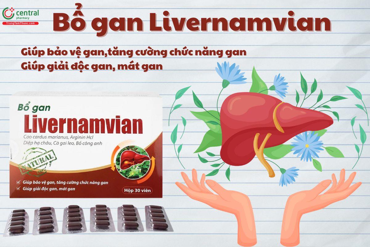 Viên uống Bổ gan Livernamvian bảo vệ gan, tăng cường chức năng gan