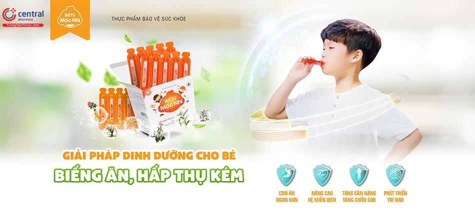 Tác dụng của Bổ Tỳ Mộc Nhi