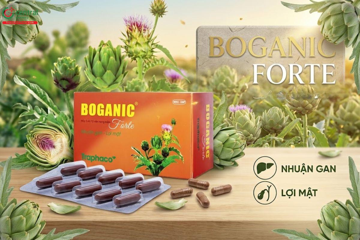 Thuốc giải độc gan trị mụn Boganic Forte - Traphaco