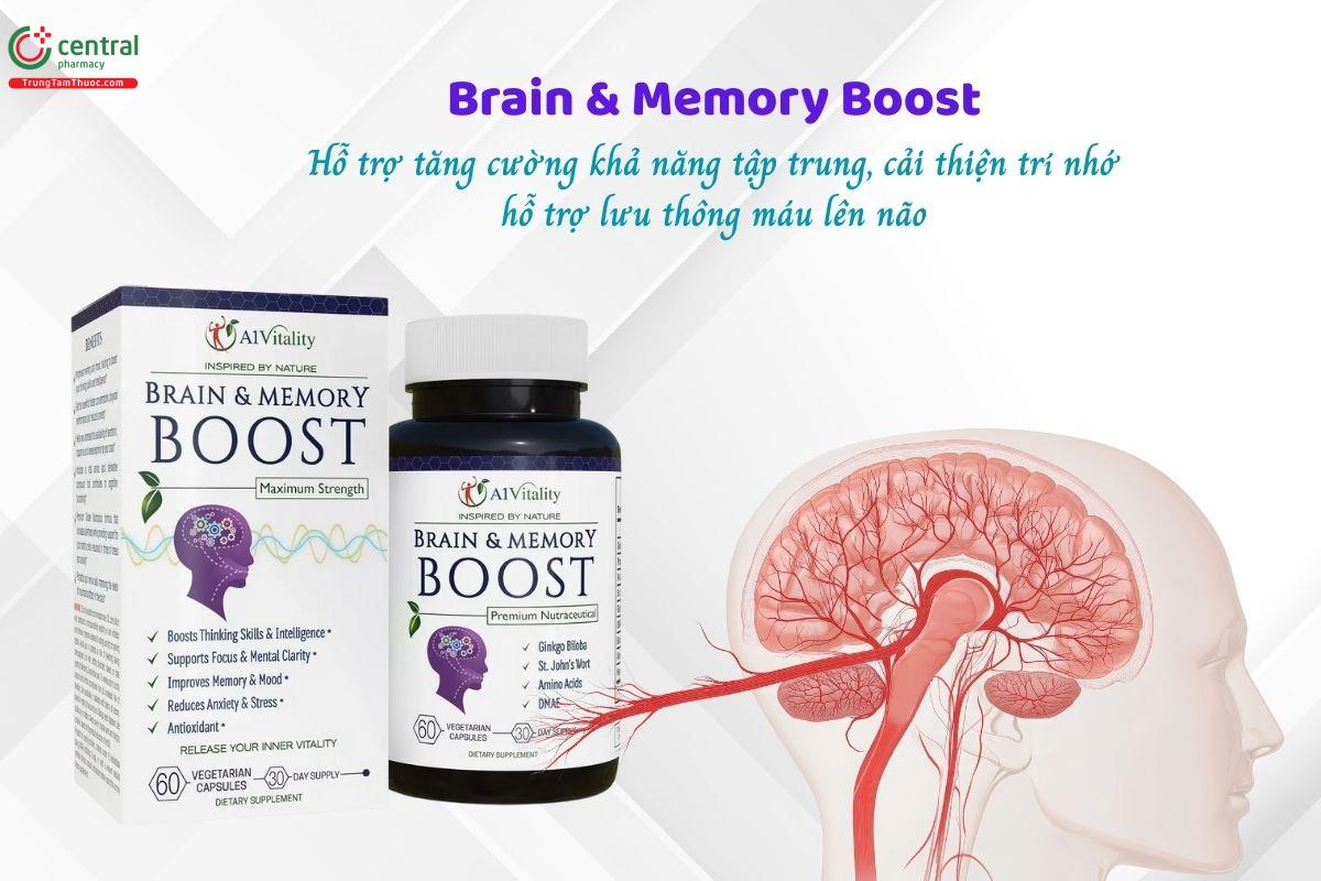 Brain & Memory Boost - Tăng khả năng tập trung, cải thiện trí nhớ
