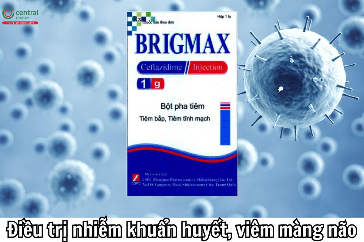 Brigmax