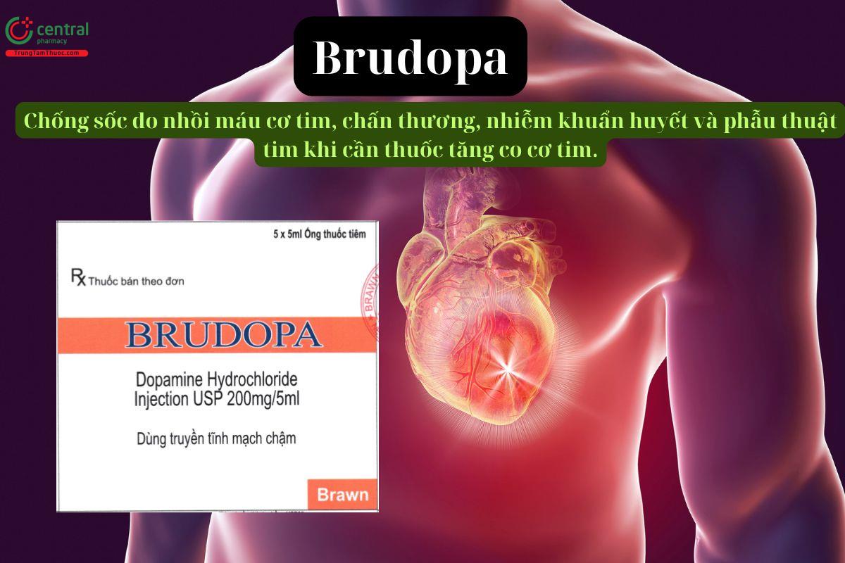 Thuốc Brudopa 200mg/5ml chống sốc so chấn thương, nhồi máu cơ tim