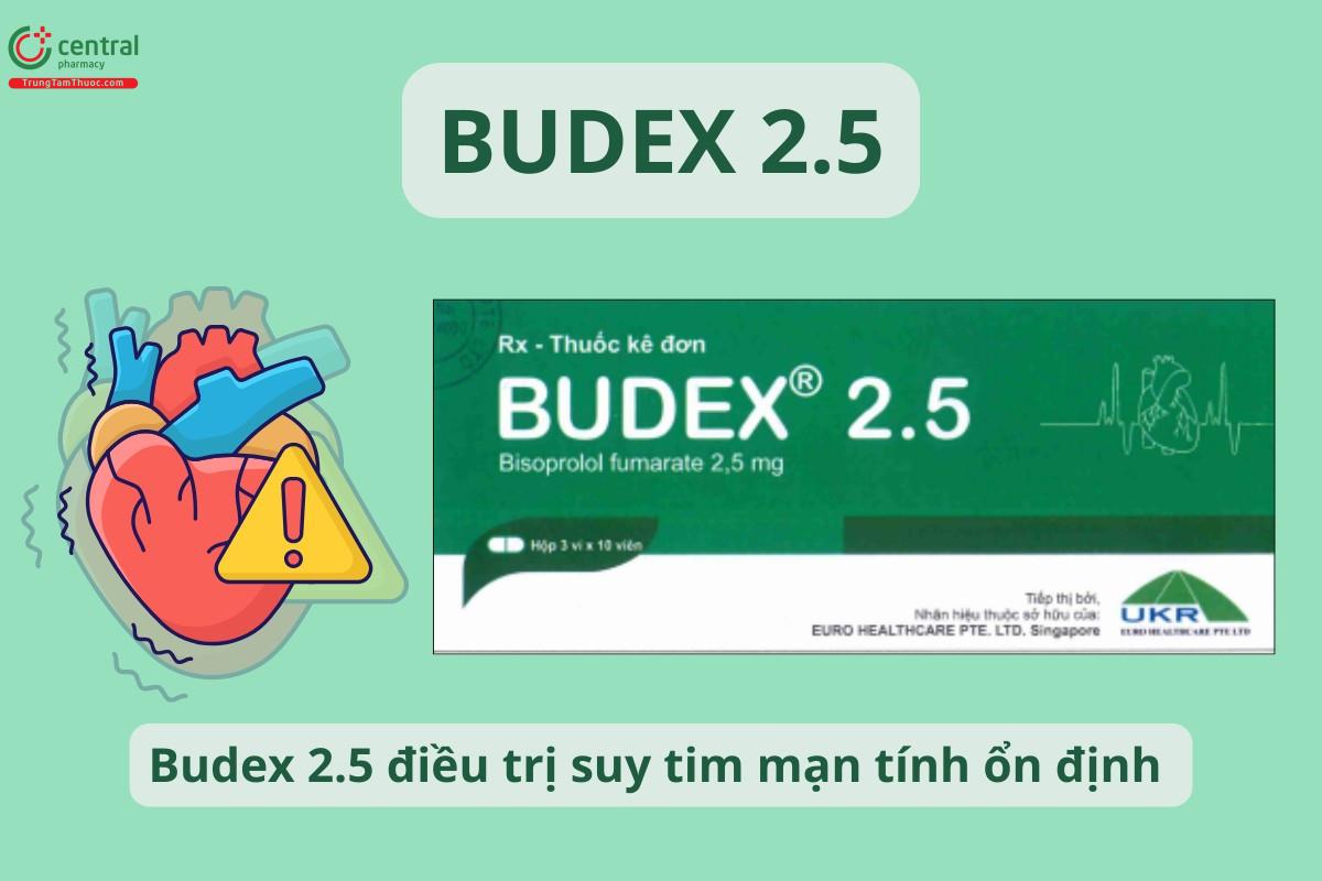 Budex 2.5 điều trị suy tim mạn tính ổn định