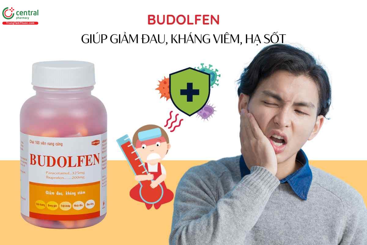 Chỉ định của Thuốc Budolfen