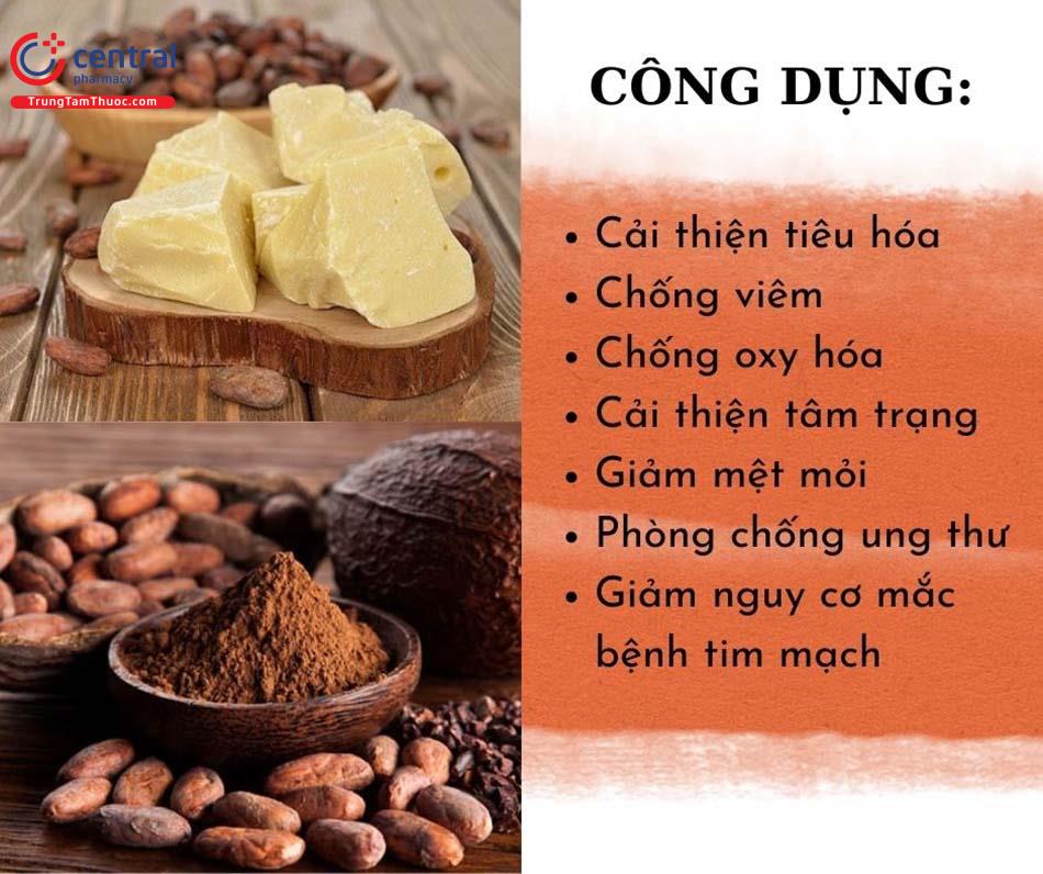 Công dụng của ca cao