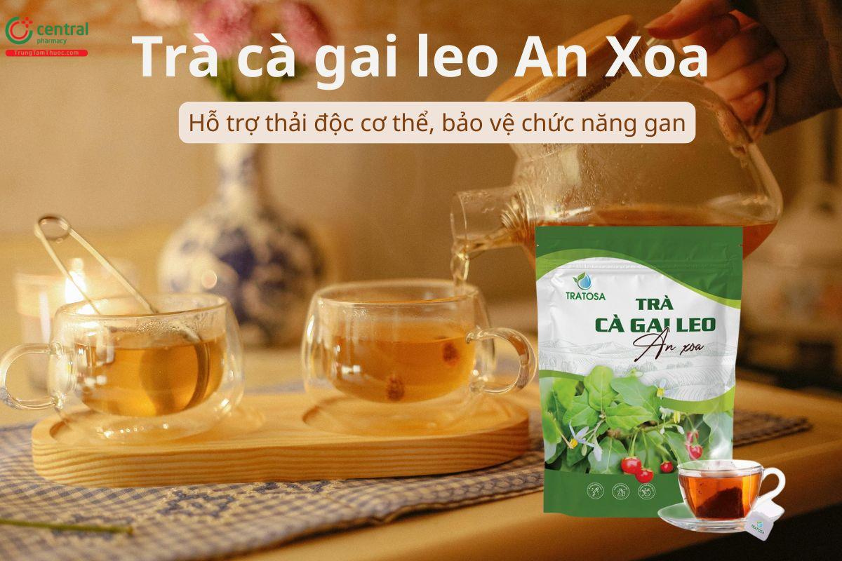 Trà cà gai leo An Xoa hỗ trợ thải độc cơ thể, bảo vệ chức năng gan