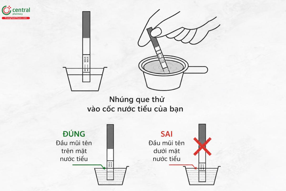 Que thử thai Prolex Pregnancy Test cách sử dụng