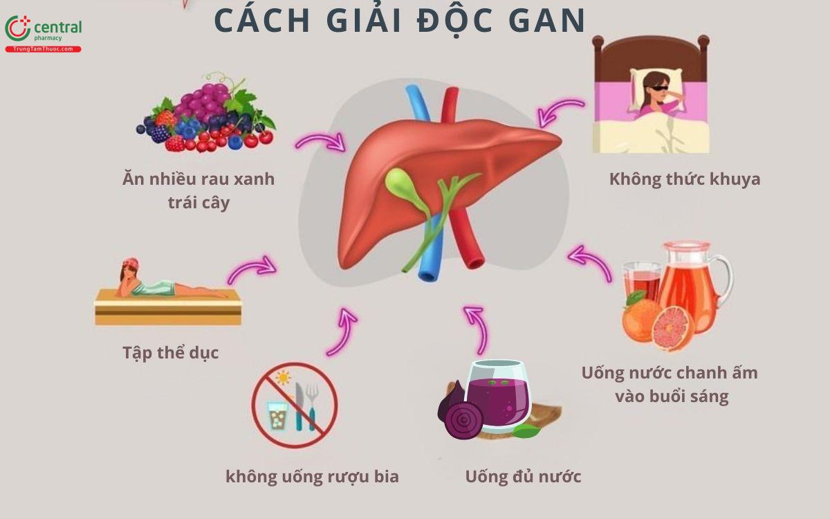 Cách Thải Độc Gan Nhanh Nhất