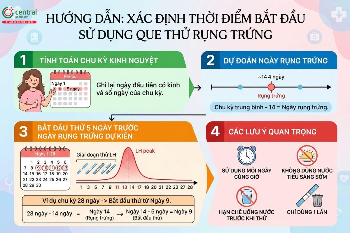Cách tính thời điểm sử dụng que test rụng trứng Prolex