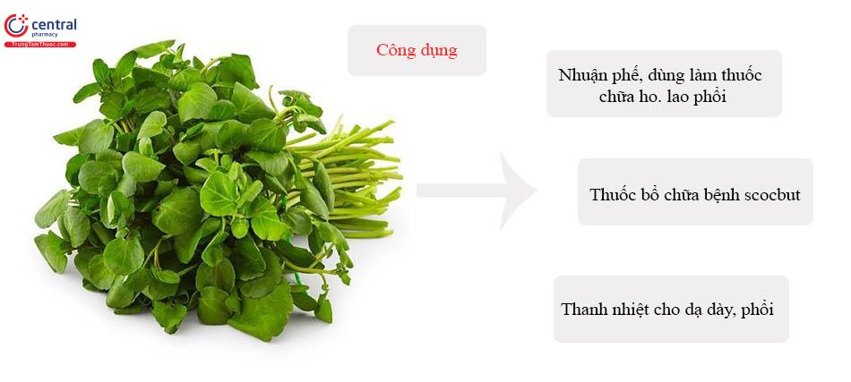 Hình 4: Công dụng của Cải Xoong