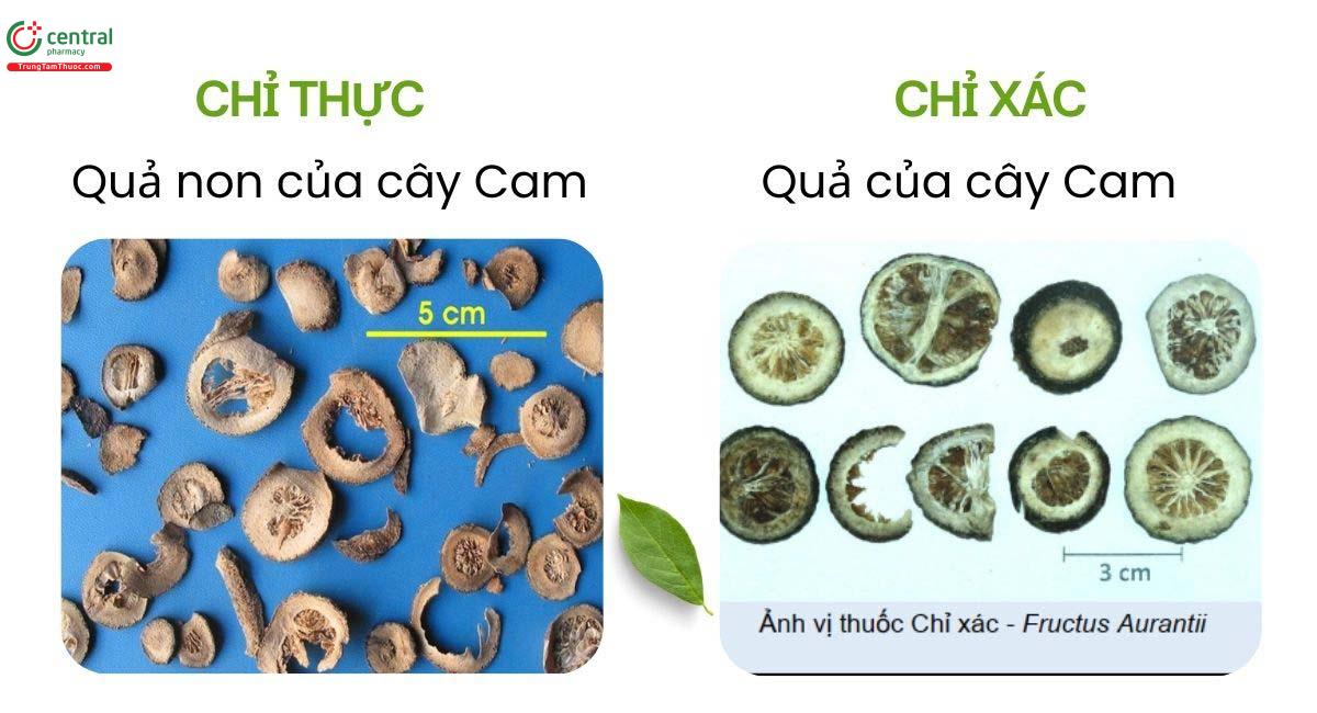 Chỉ thực và chỉ xác