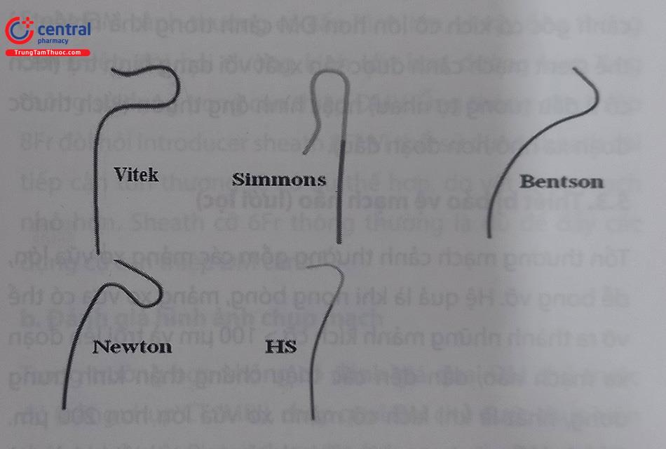 Hình 29.4B. Các ống thông phù hợp cho quai động mạch chủ loại 2 và 3: Virek, Simmons, Bentson, Newton, HS