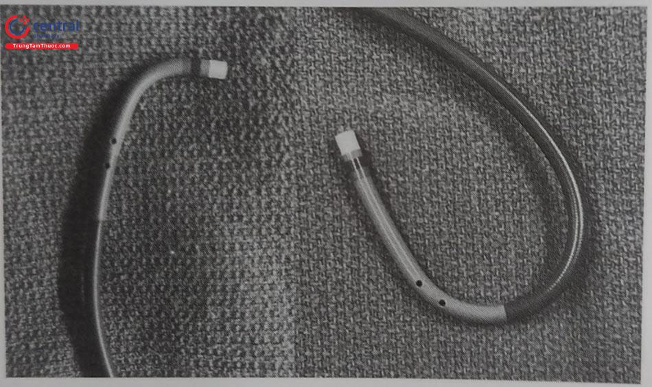 Hình 21.2. Guiding catheter có đục lỗ bên (trong can thiệp CTO