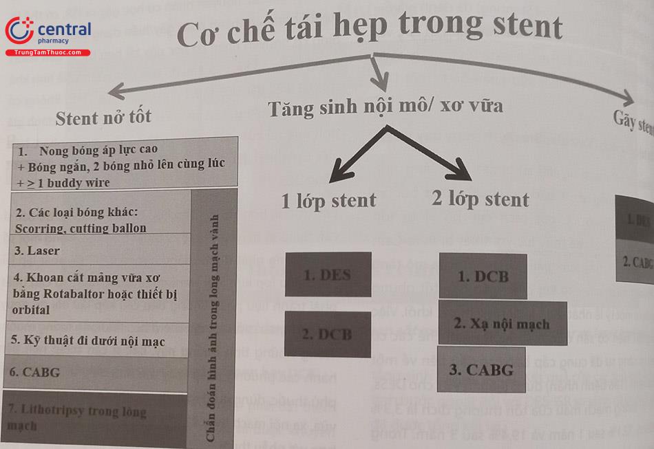 Hình 23.7. Lựa chọn điều trị dựa vào cơ chế tái hẹp trong stent