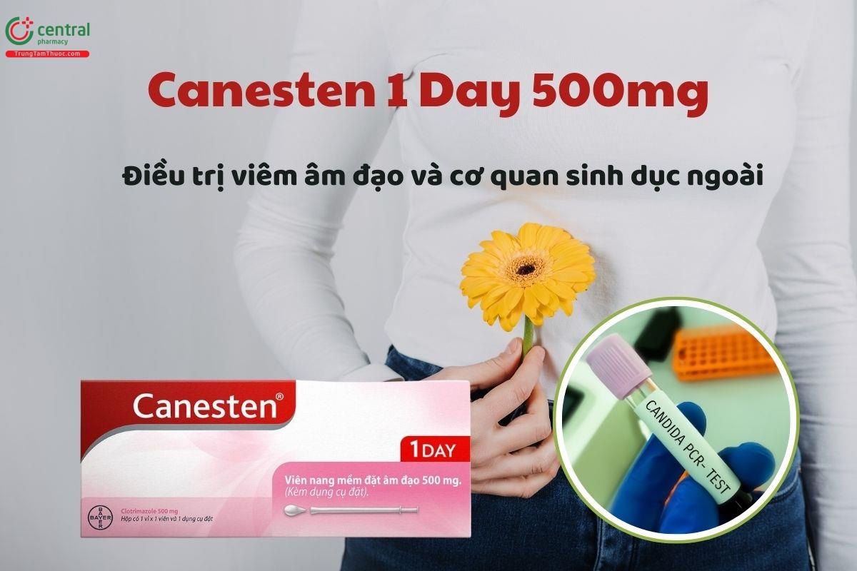 Chỉ định của thuốc đặt âm đạo Canesten 1 Day 500mg