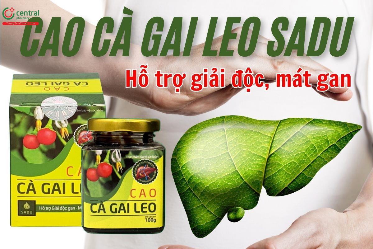 Cao cà gai leo Sadu