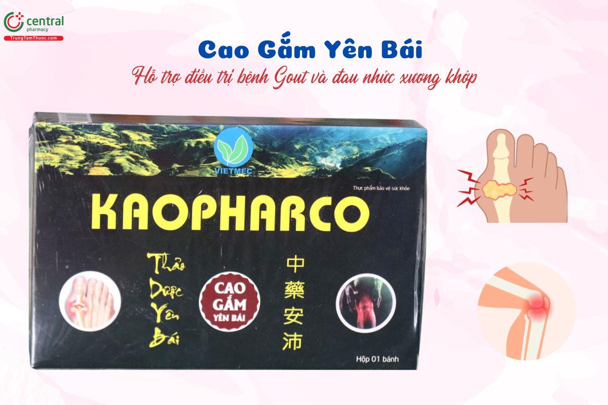 Cao Gắm Yên Bái - Giảm đau nhức xương khớp, hỗ trợ điều trị Gout