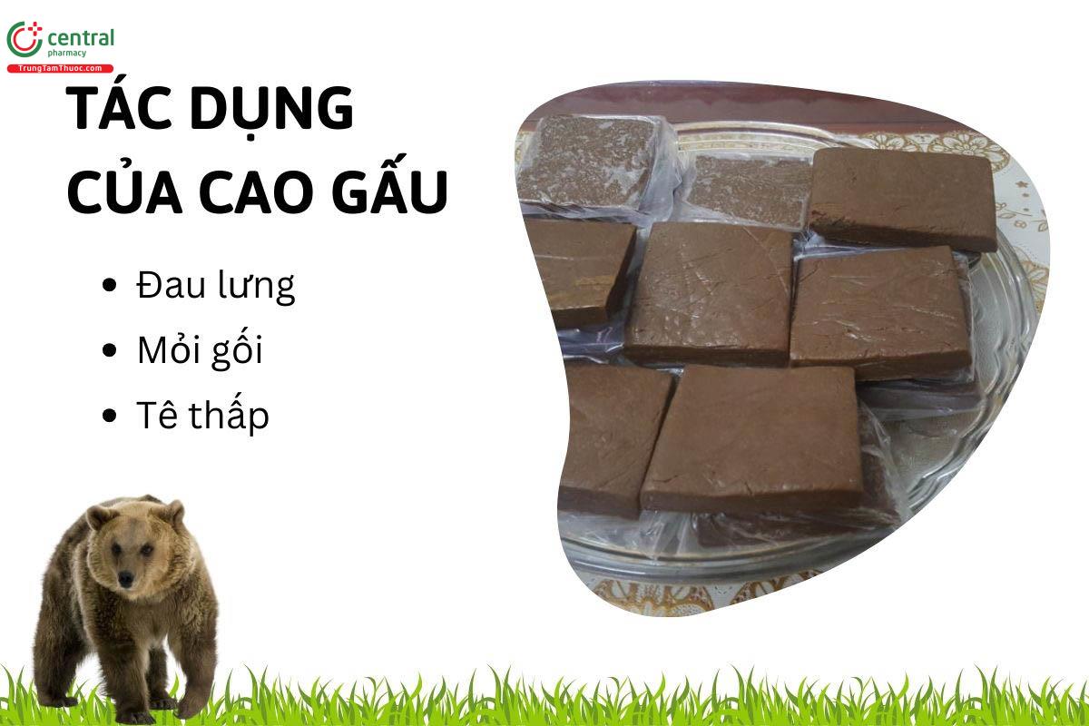 Uống cao gấu có tác dụng gì?