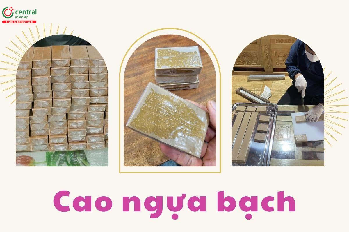 Cao Ngựa bạch