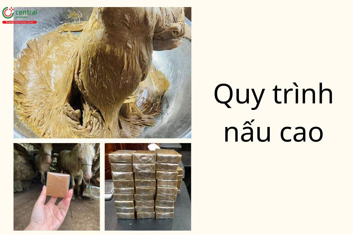 Quy trình nấu cao