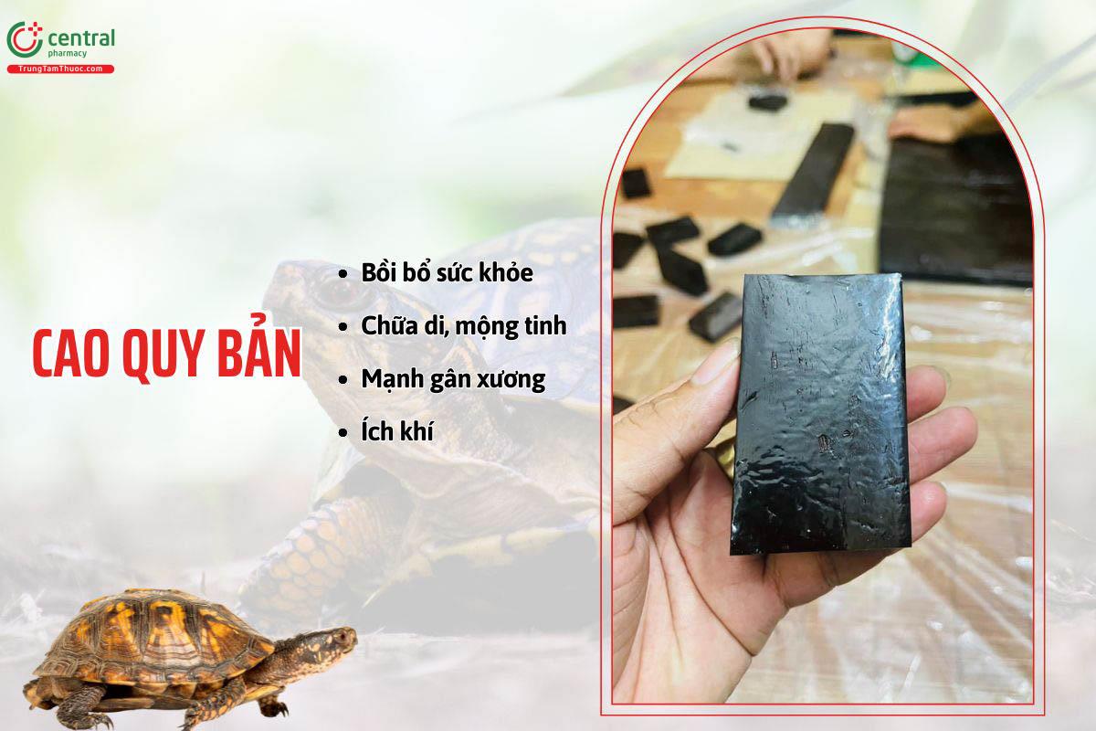 Cao rùa (Cao quy bản) có tác dụng gì?