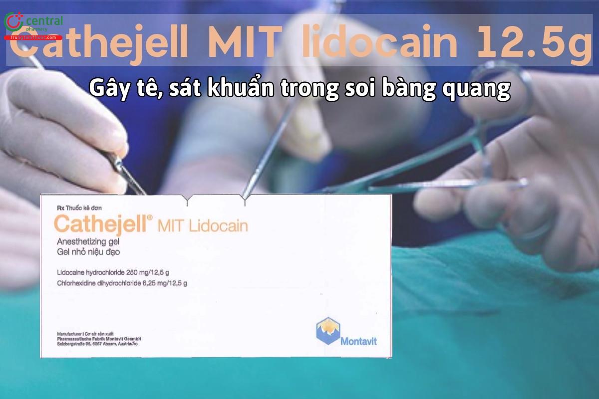 Thuốc Cathejell MIT lidocain 12.5g gây tê bề mặt, sát khuẩn, dùng trong soi bàng quang