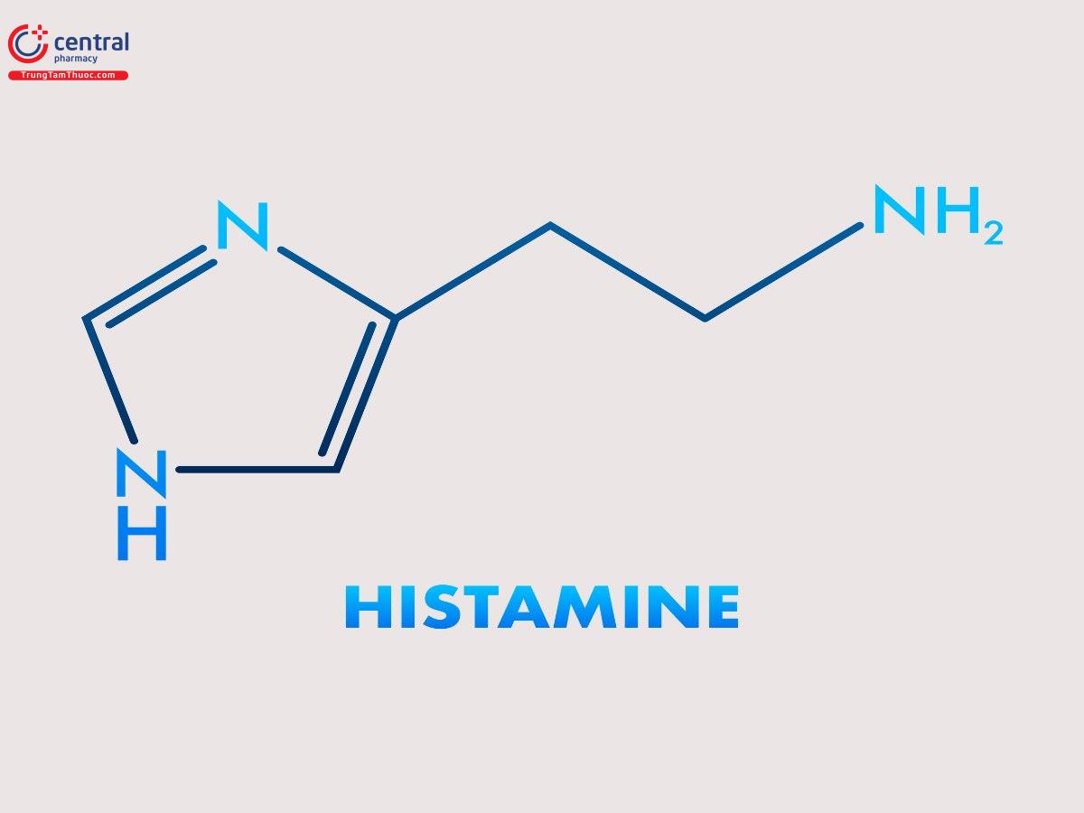 Công thức hóa học của Histamin