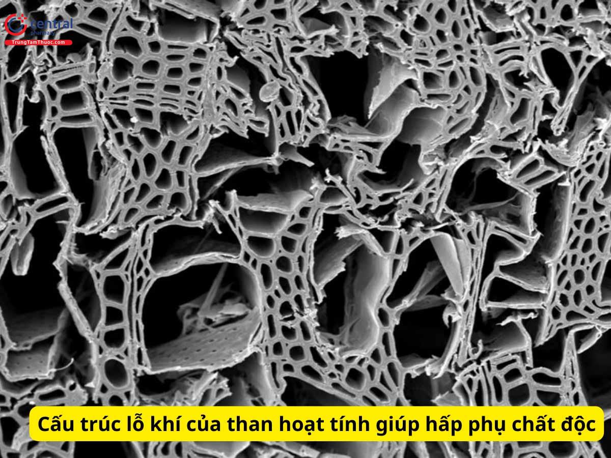 Cấu trúc đặc biệt của than hoạt tính