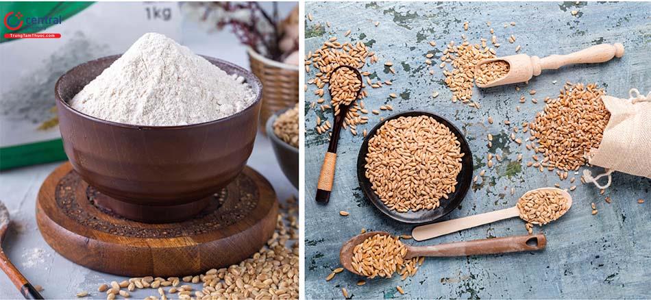 Hạt Lúa mì - Loại ngũ cốc giàu dinh dưỡng có lợi cho sức khoẻ