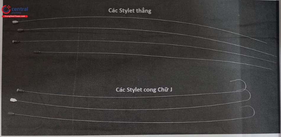 Hình 51.39. Các loại stylet: stylet thẳng có độ dài và độ cứng khác nhau; các stylet cong chữ J có các kích cỡ khác nhau