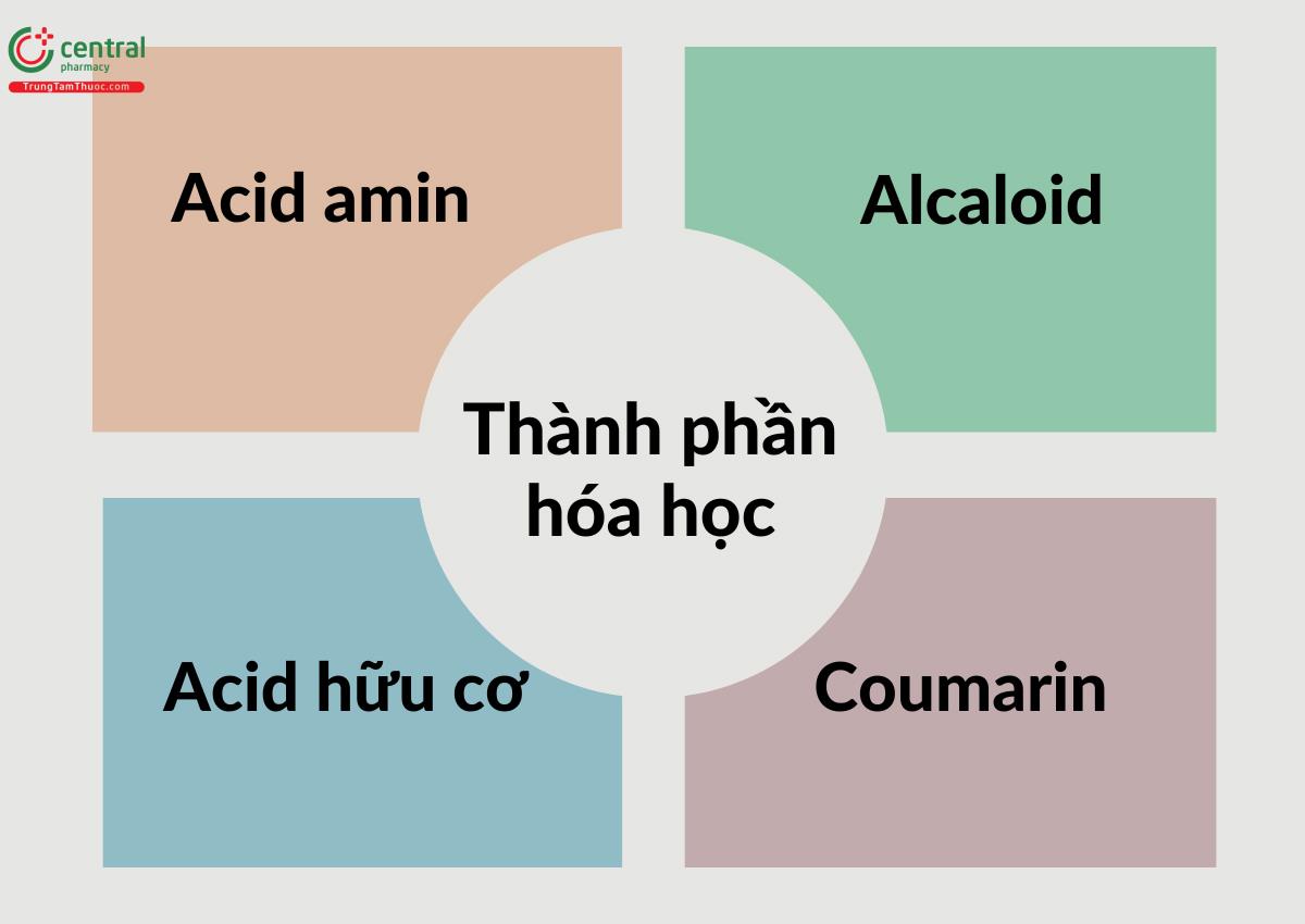 Thành phần hóa học của cây Vú Bò