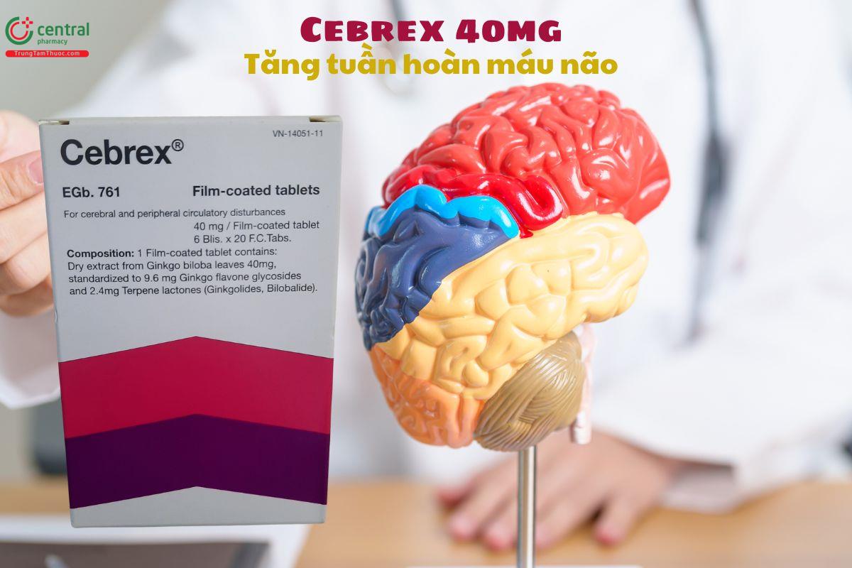 Thuốc Cebrex 40mg trị rối loạn tuần hoàn não, tuần hoàn ngoại biên