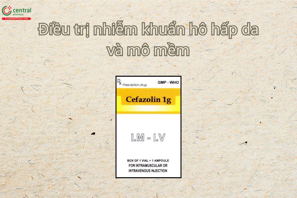 Thuốc Cefazolin 1g VCP điều trị nhiễm khuẩn đường hô hấp, da, mô mềm