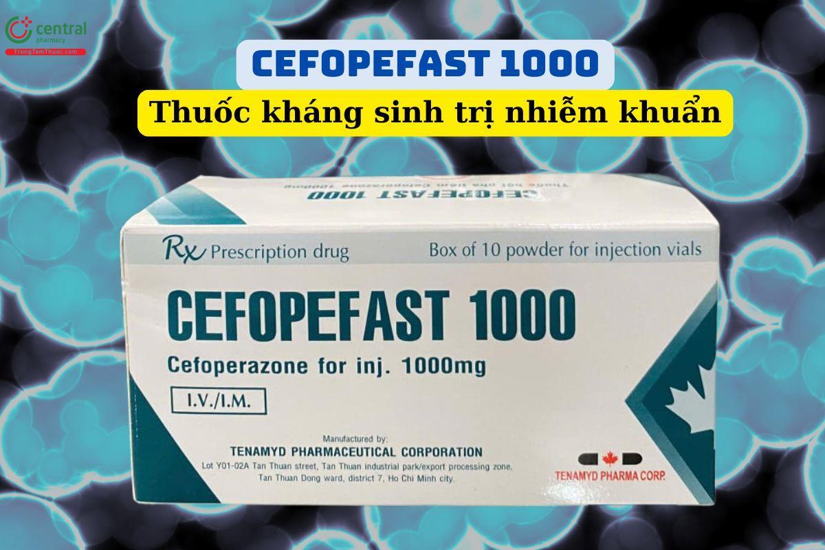 Thuốc Cefopefast 1000 điều trị nhiễm khuẩn gây ra bởi vi khuẩn nhạy cảm