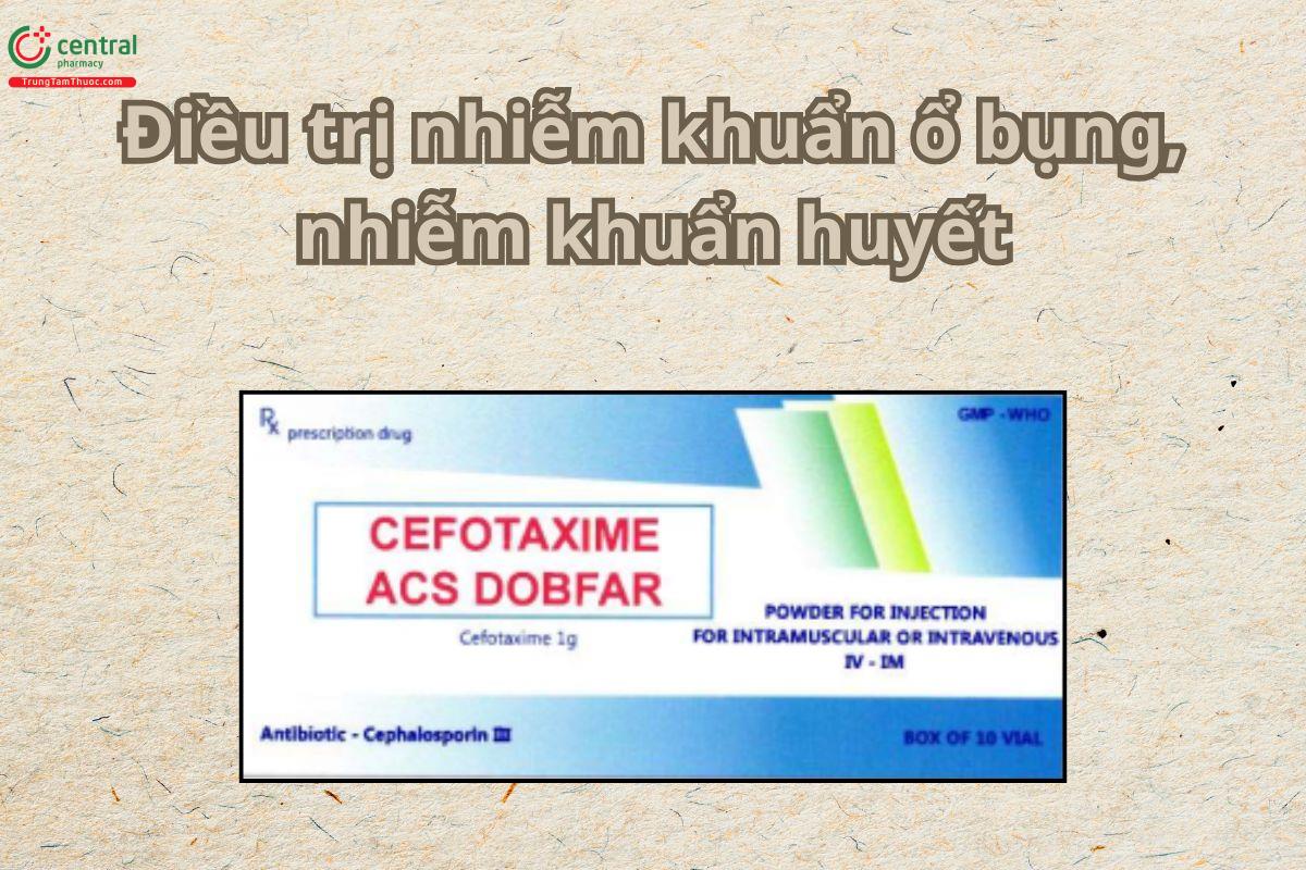 Thuốc Cefotaxime ACS Dobfar được chỉ định điều trị các nhiễm khuẩn nặng do vi khuẩn nhạy cảm